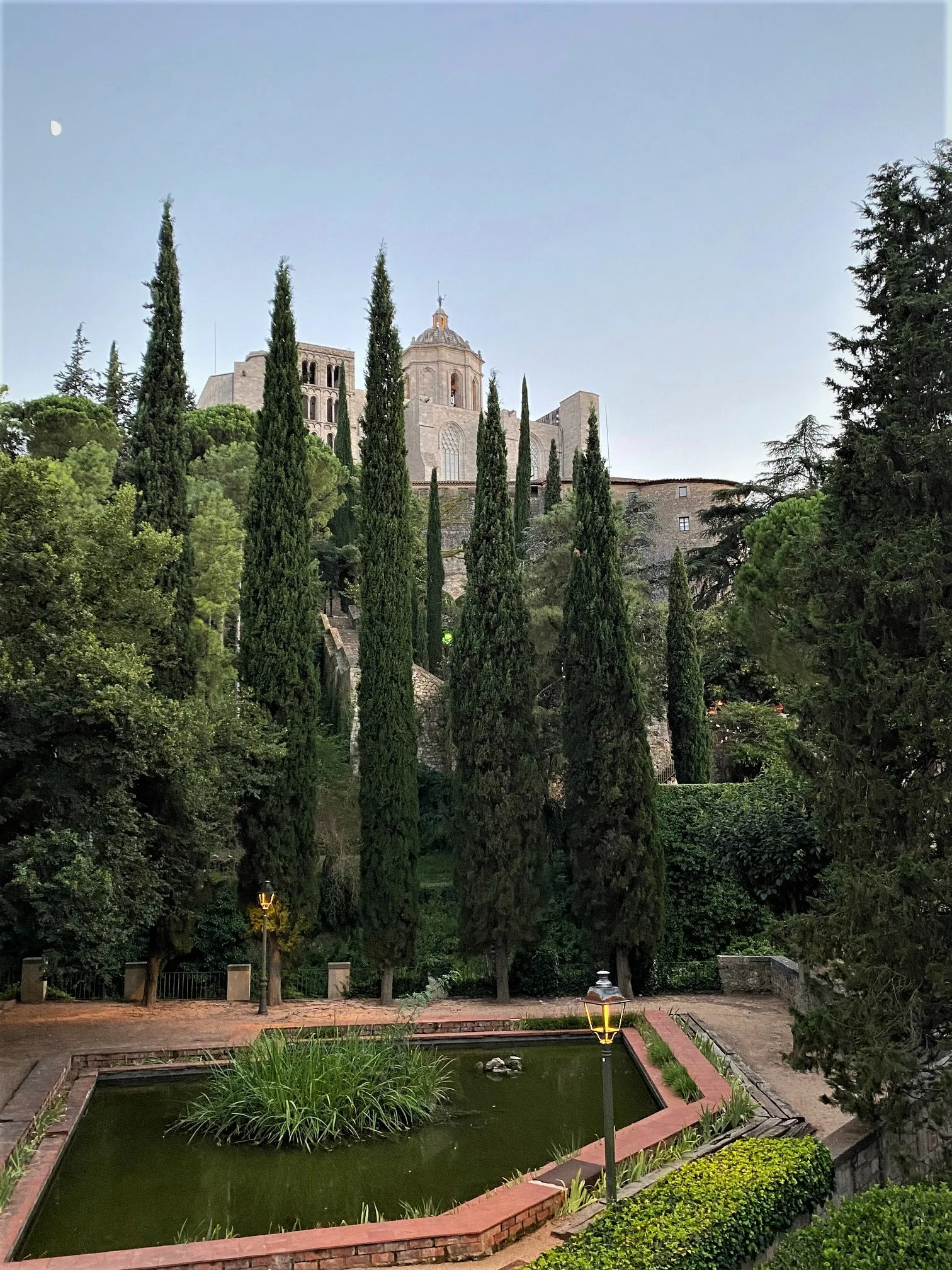 Cypress trees with Girona cathedral rising behind