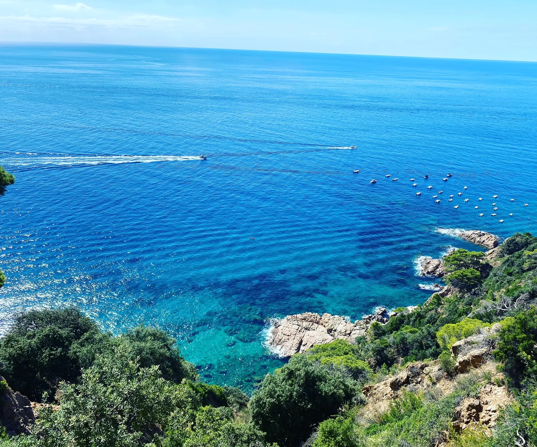 Turquoise water and pine-covered cliffs on the Costa Brava