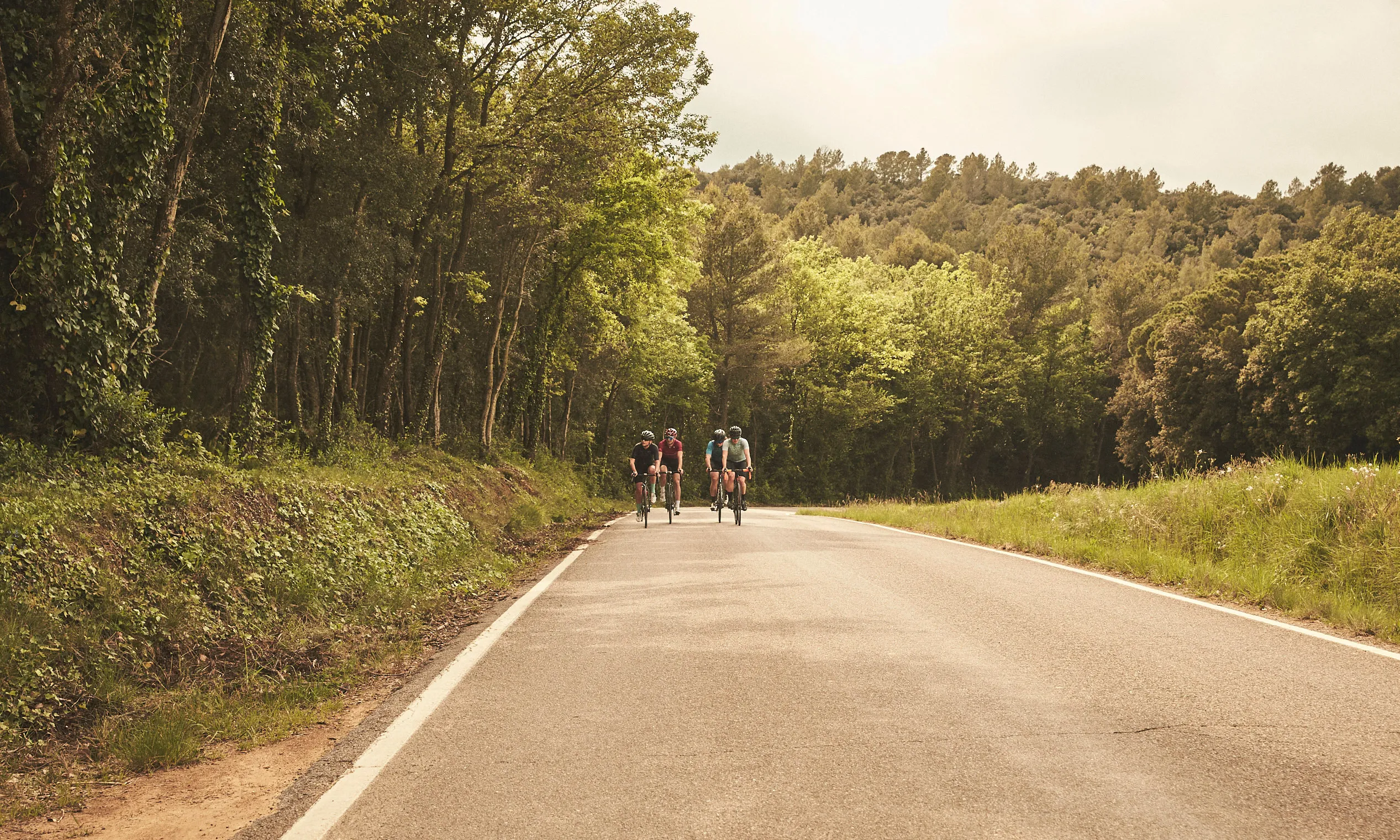 Cyclists on a tree-lined road outside Girona